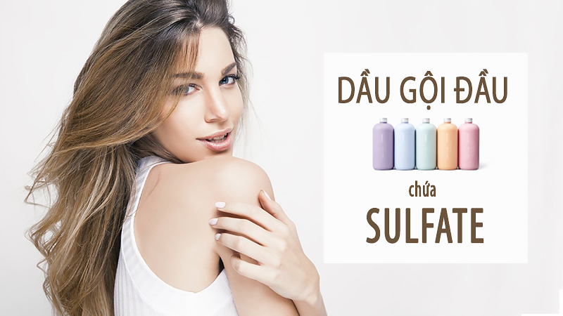dầu gội 6