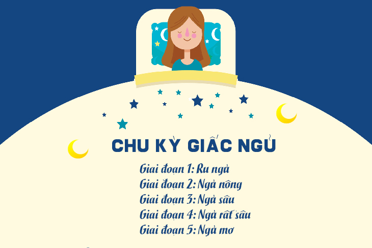 Káº¿t quáº£ hÃ¬nh áº£nh cho sleep stages infographic