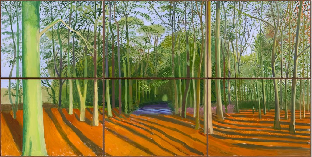 Tranh vẽ của David Hockney 8