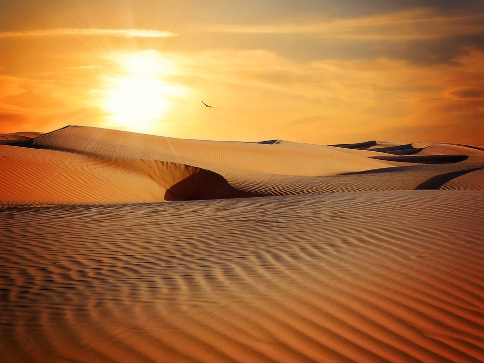 Trắc nghiệm Kokology: Hành trình sa mạc tiết lộ phản ứng của bạn trước mối tình tan vỡ