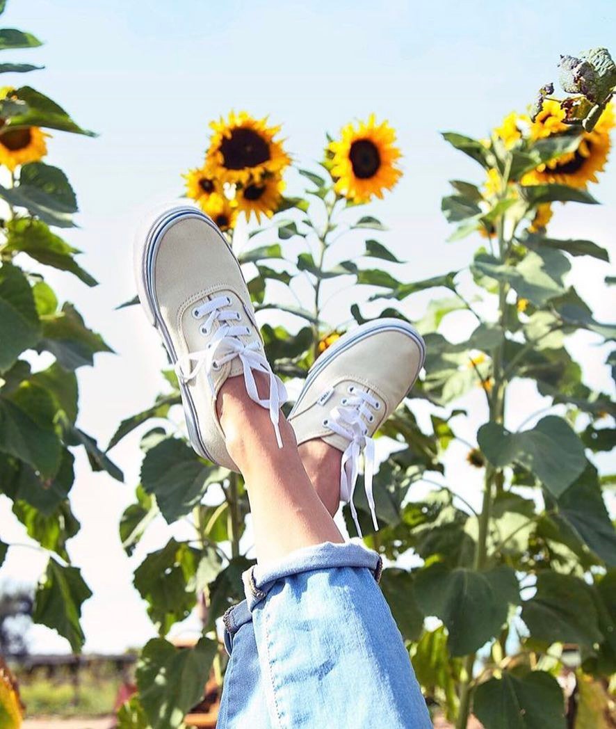 giày sneakers kinh điển vans màu kem