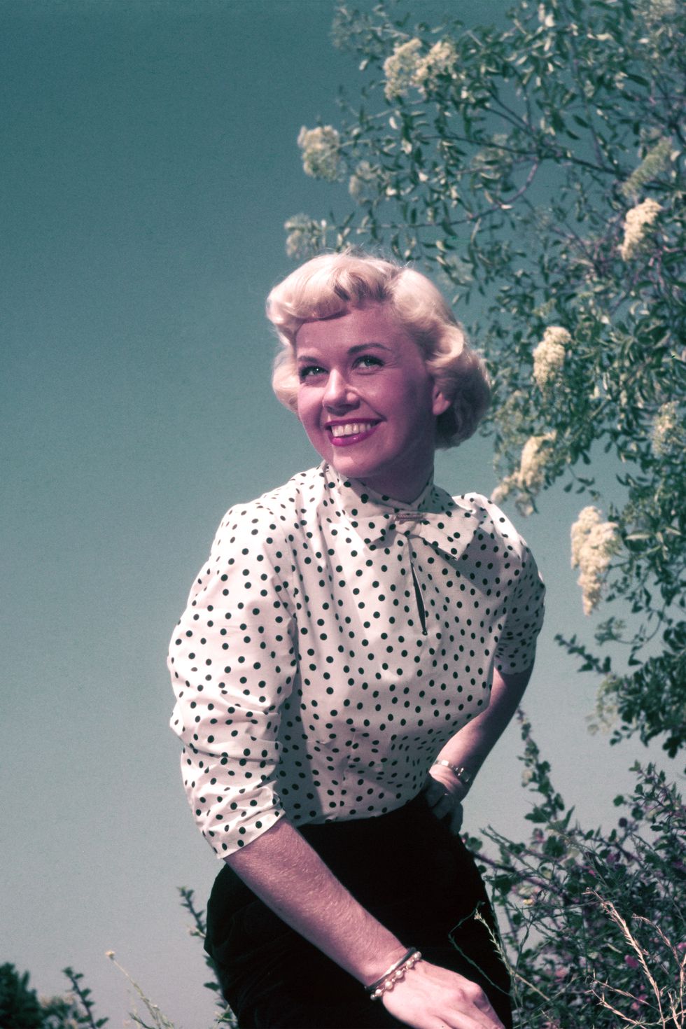 Doris Day (10)