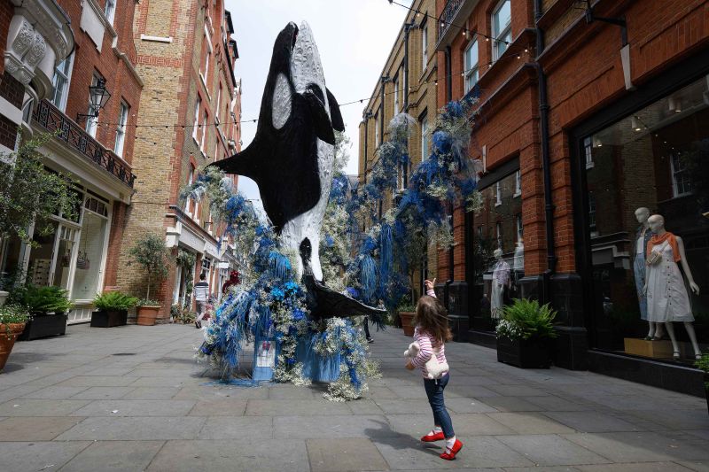 Mô hình cá voi Orca kích thước thật bằng hoa, London