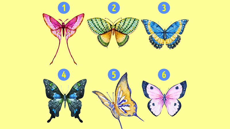 Tính cách và cánh bướm: Hãy khám phá tính cách ngời ngời của những con bướm qua hình ảnh sống động này. Bạn sẽ hiểu được tại sao những con bướm mang trong mình sự trang nhã, độc đáo và tinh tế của một bước nhảy tuyệt vời trong cuộc sống.