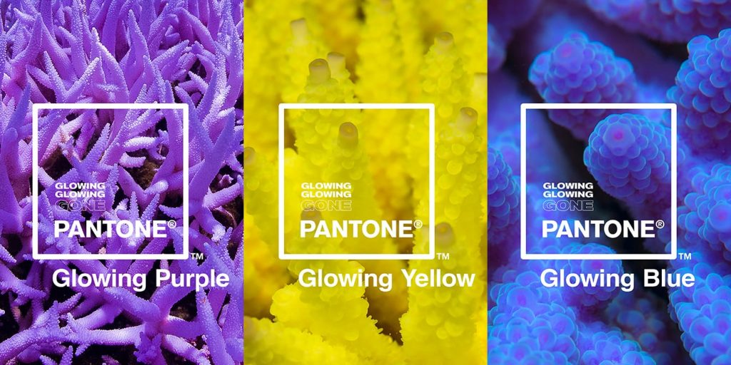 pantone glowing coral