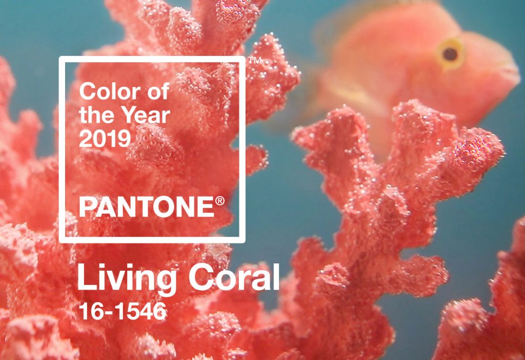 cách trang điểm - tông màu living coral