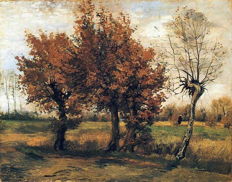 autumn landscape