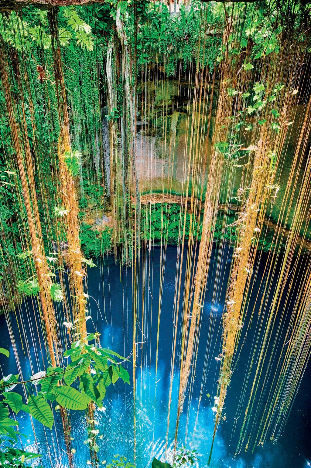 Cenote là một trong những "đặc sản" của du lịch Mexico