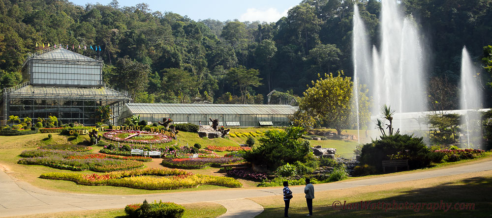 botanical garden