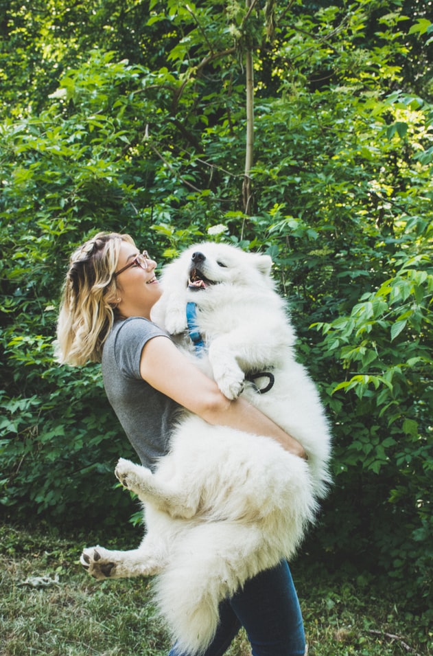 cô gái ôm chó samoyed