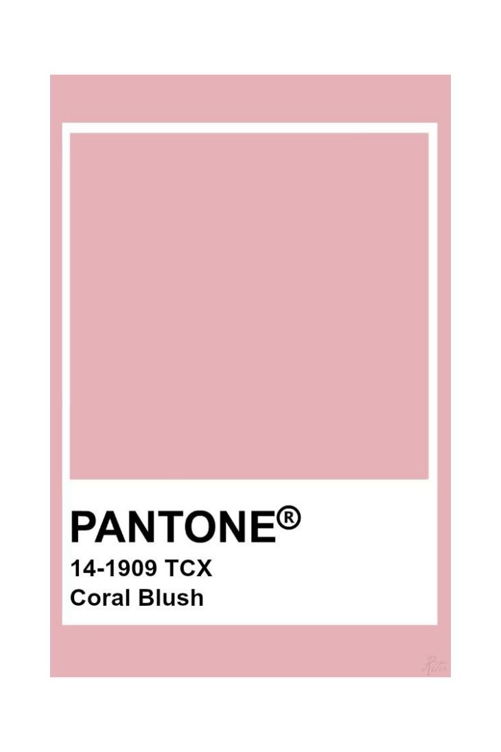màu coral blush