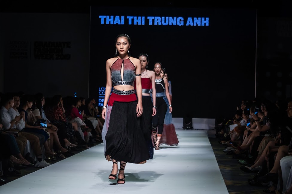 bộ sưu tập thái thị trung anh