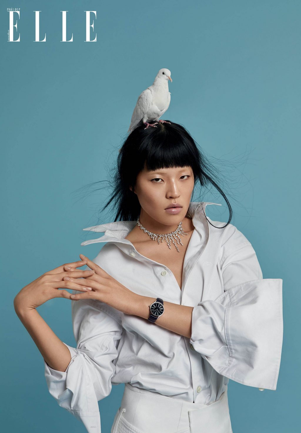 bộ ảnh trang sức sải cánh tự do - cô gái và chim bồ câu trắng