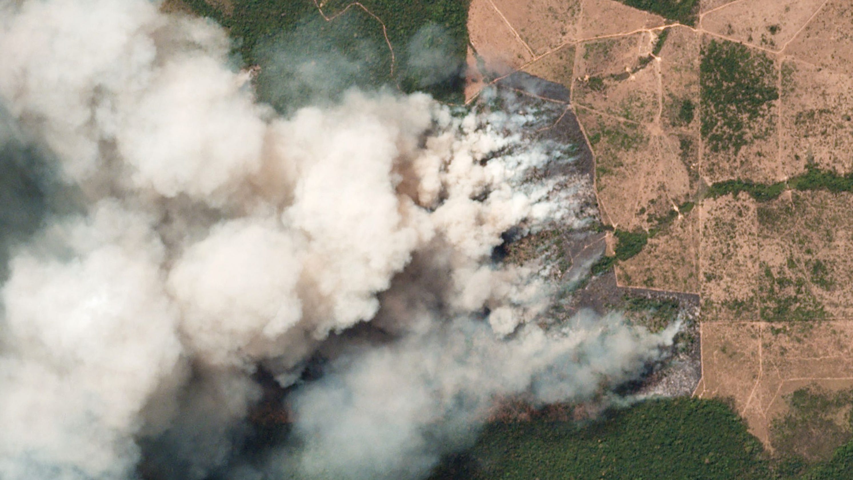 cháy rừng Amazon