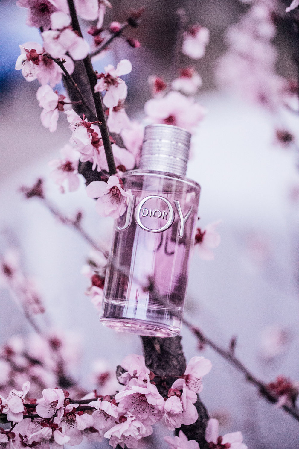 nuoc hoa joy dior 2
