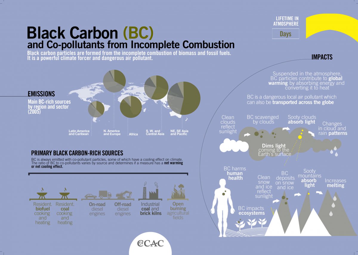 infographic về carbon đen