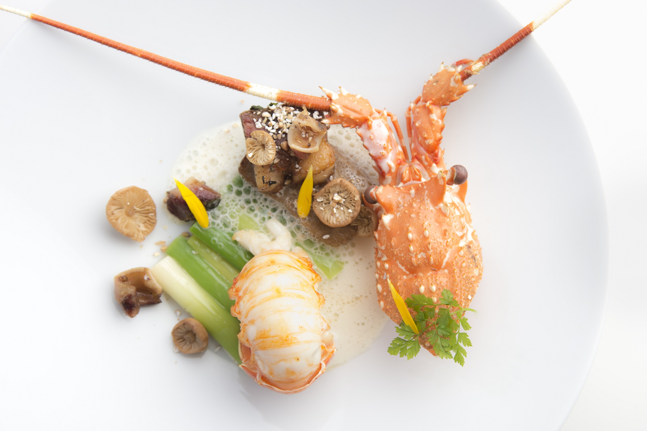 langouste 