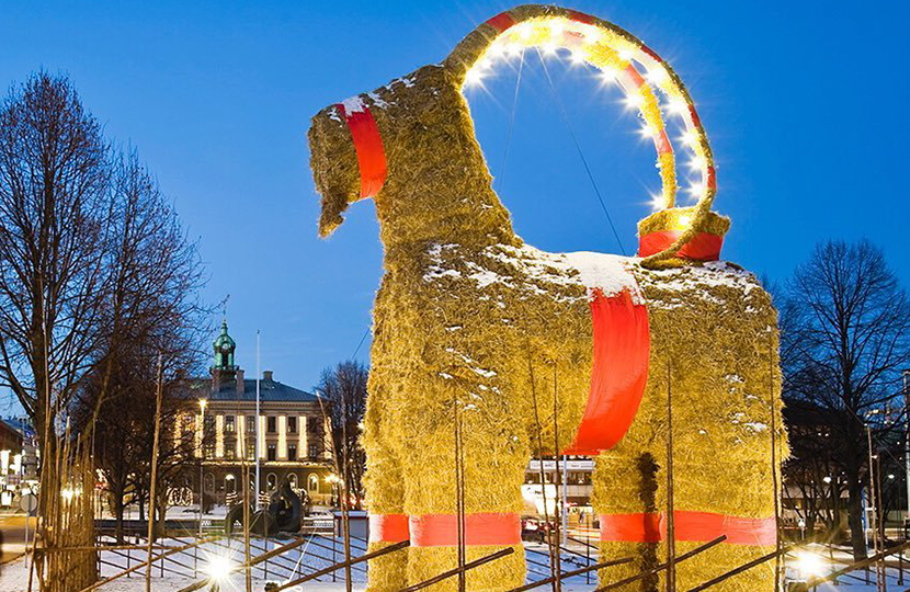 noel và gavle goat