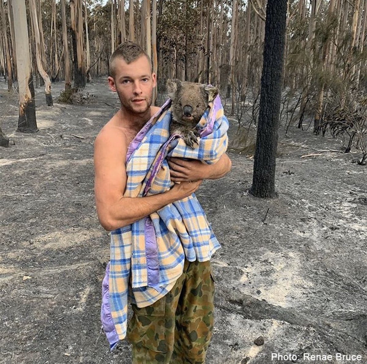 Patrick Boyle người thợ săn cứu động vật hoang dã khi cháy rừng