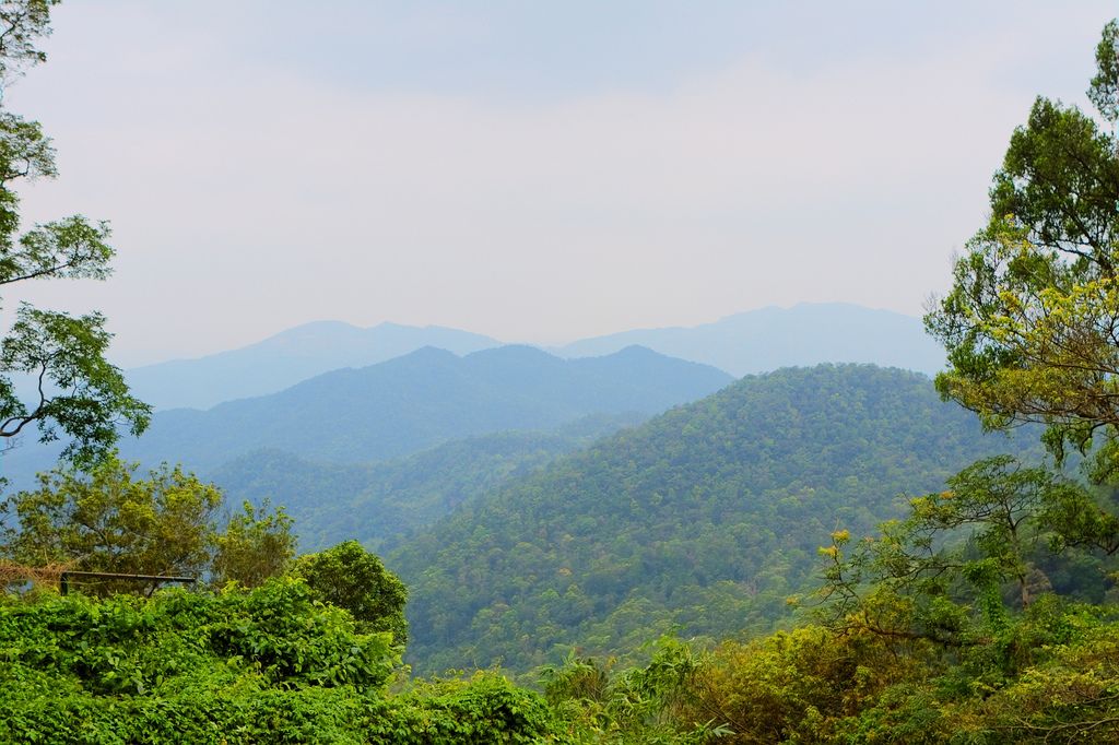 trên định yên tử