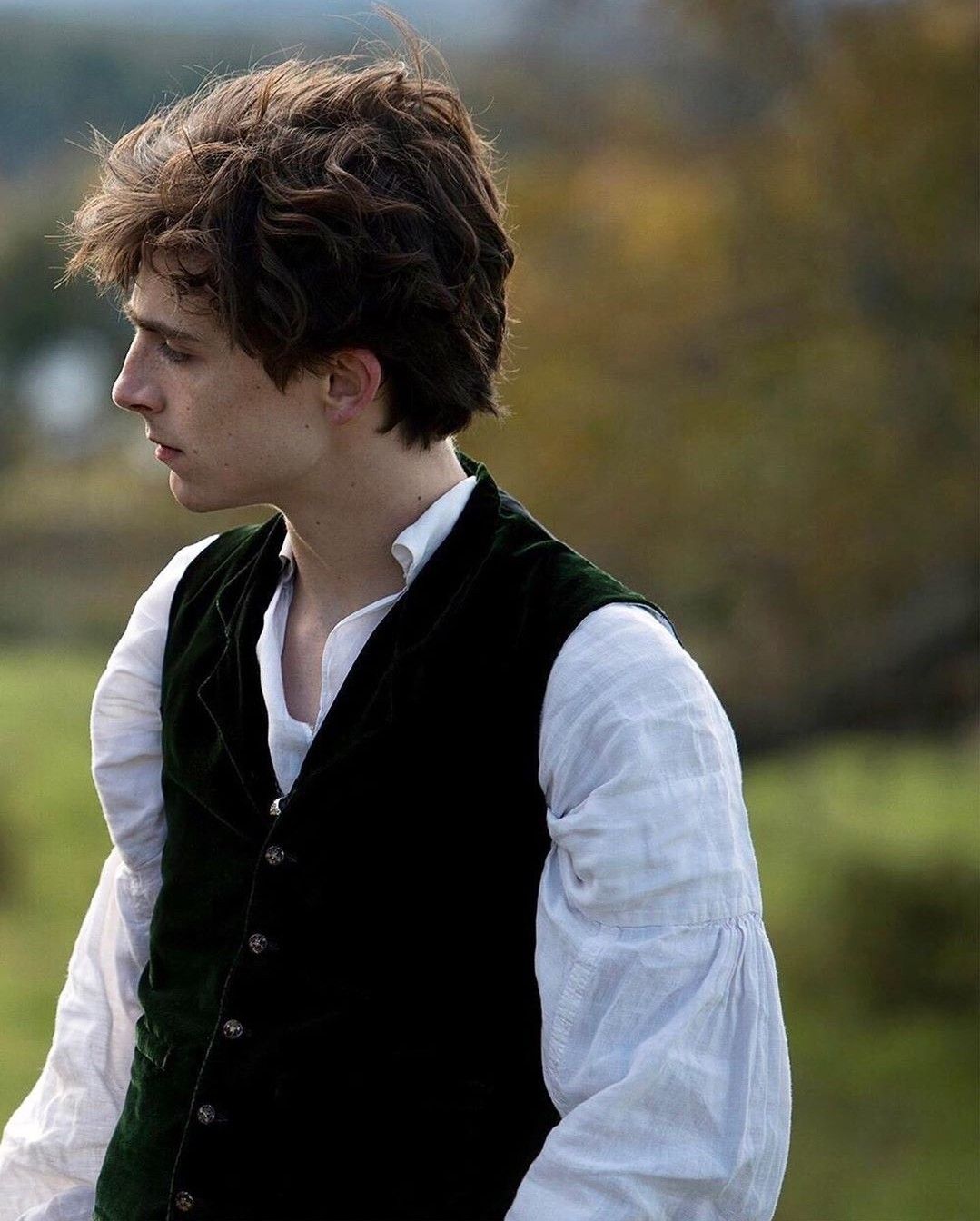 Laurie do Timothee Chalamet thủ vai trong Little Women