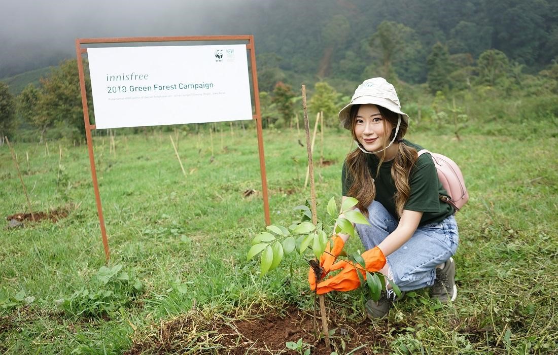 Chiến dịch Green Forest của innisfree 