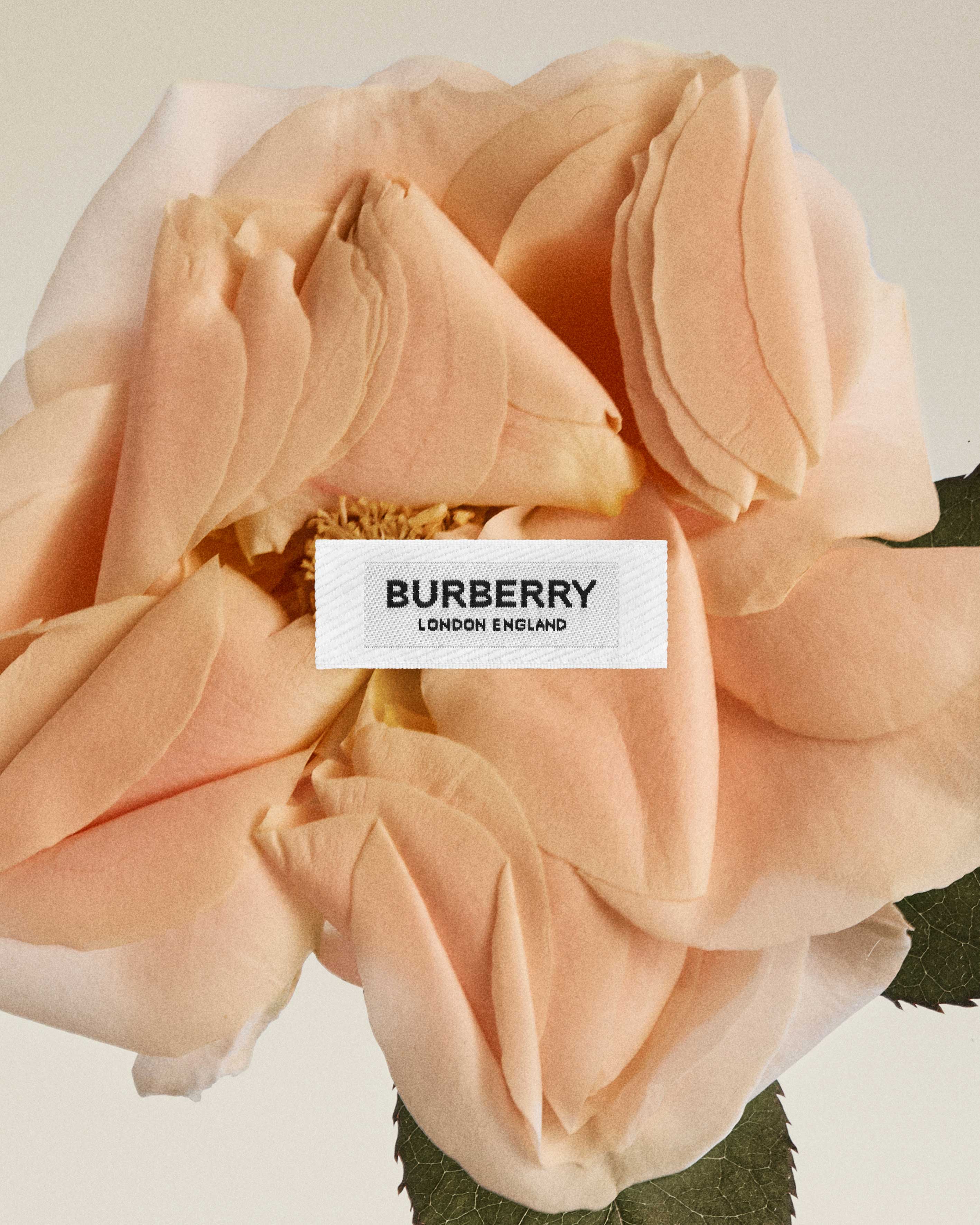 bộ sưu tập burberry thu đông 2020