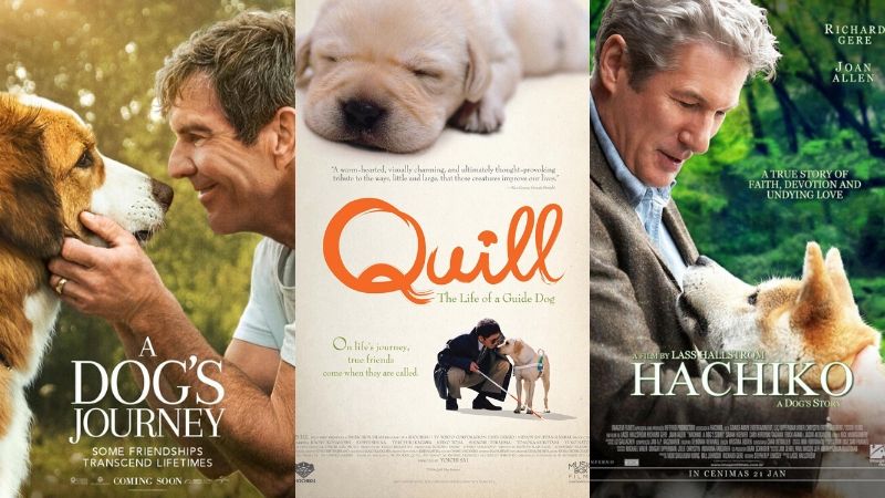 26 bộ phim hay nhất về loài chó mà bạn nên xem  ELLE
