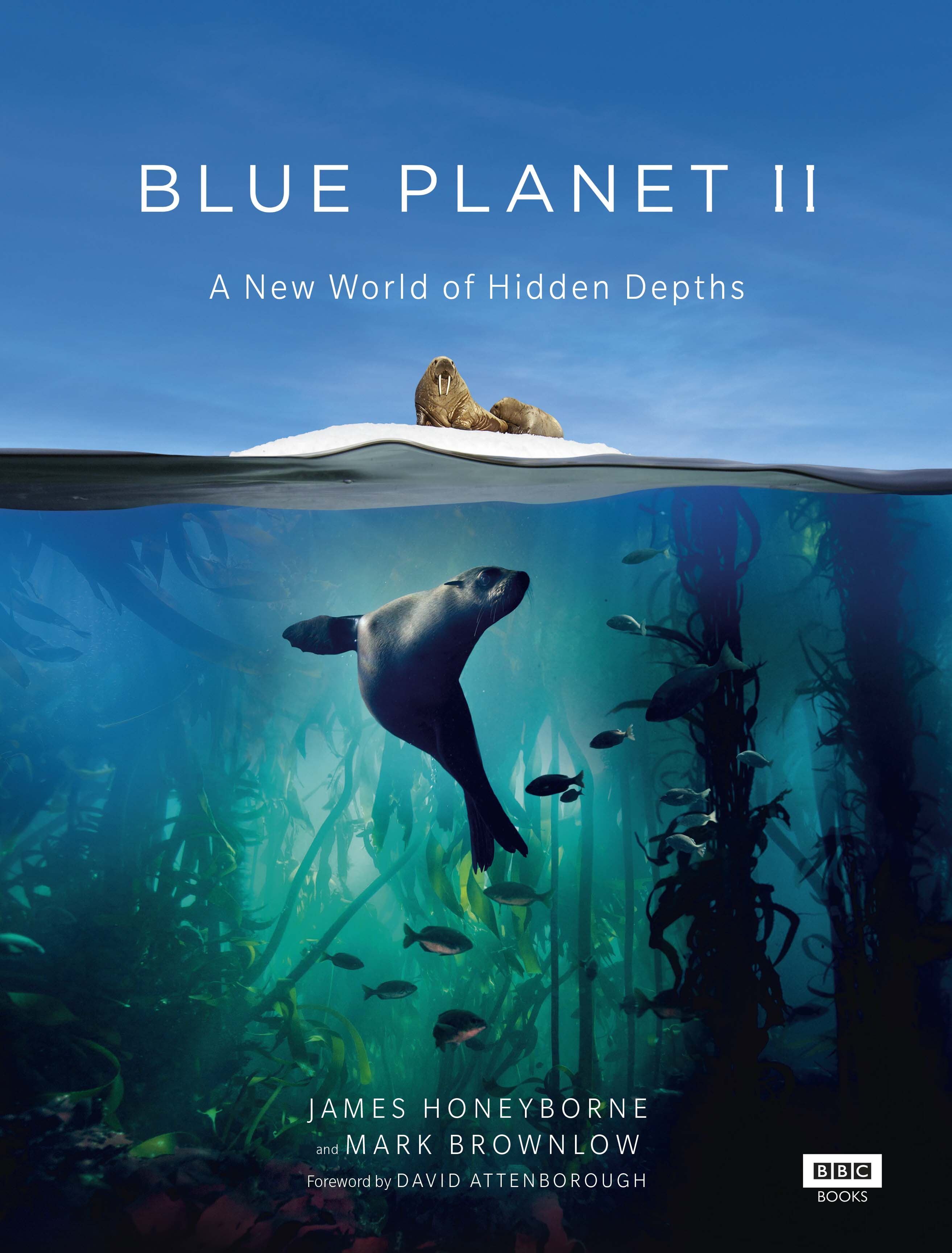 phim tài liệu Blue Planet II