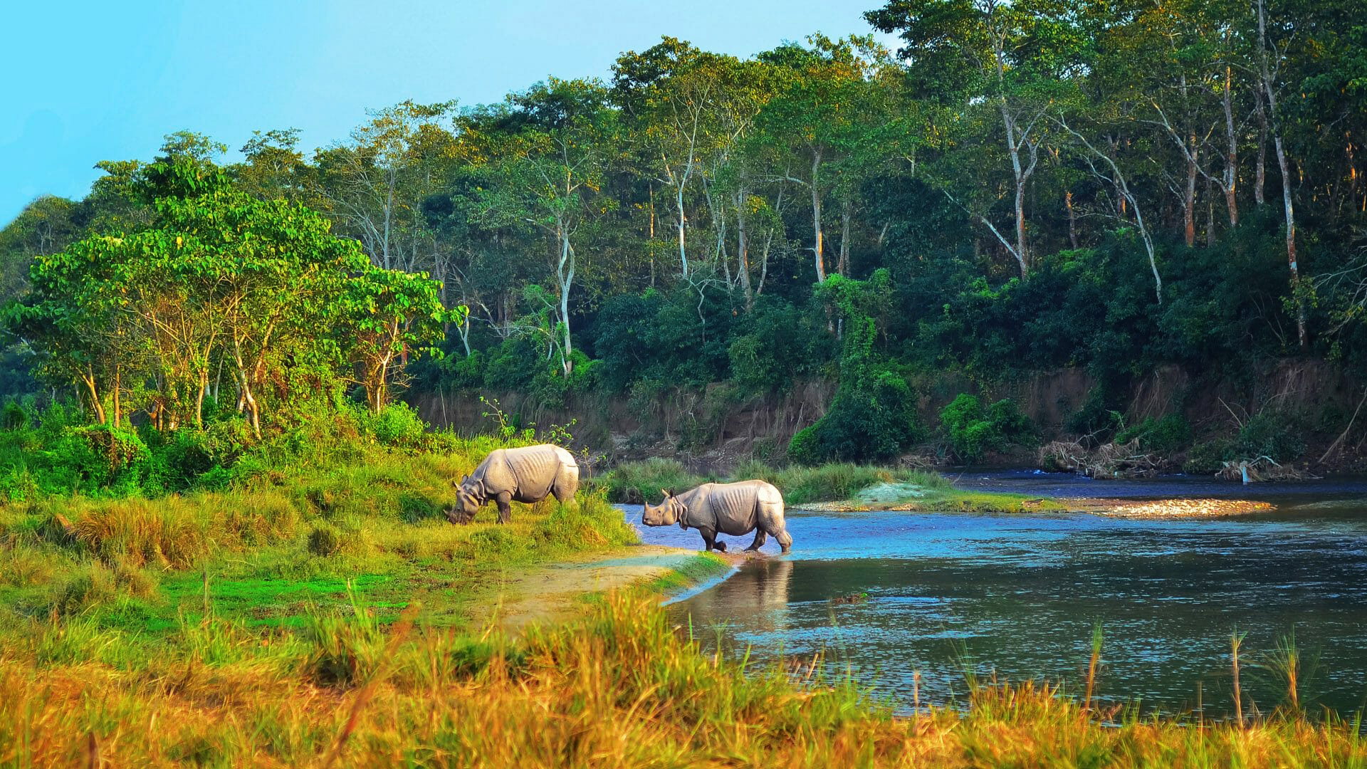 du lịch nghỉ dưỡng Công viên Quốc gia Chitwan, Nepal