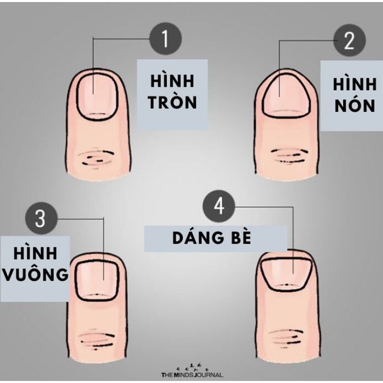 các dáng đầu ngón tay