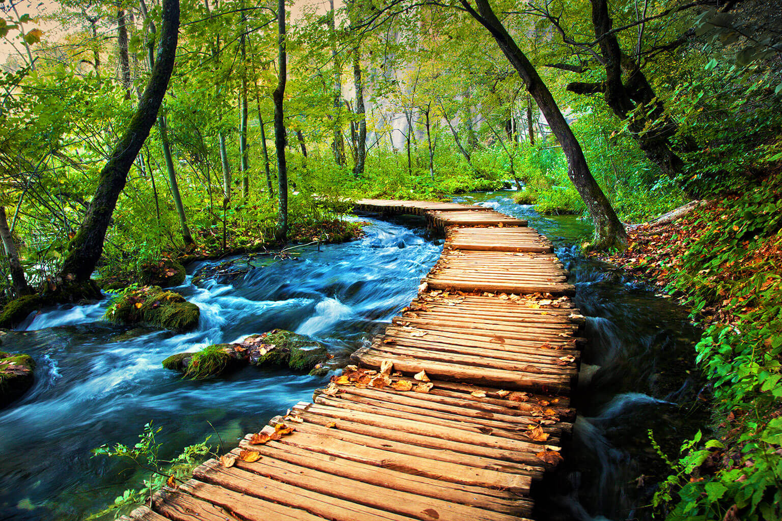 cảnh quan plitvice