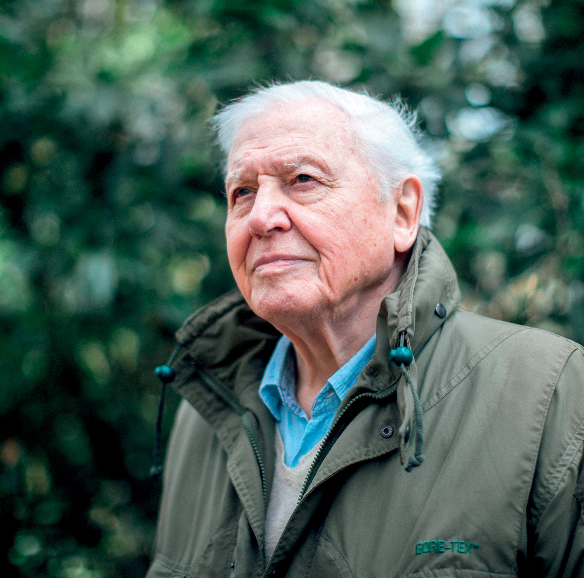 phim tài liệu nhà thuyết minh David Attenborough