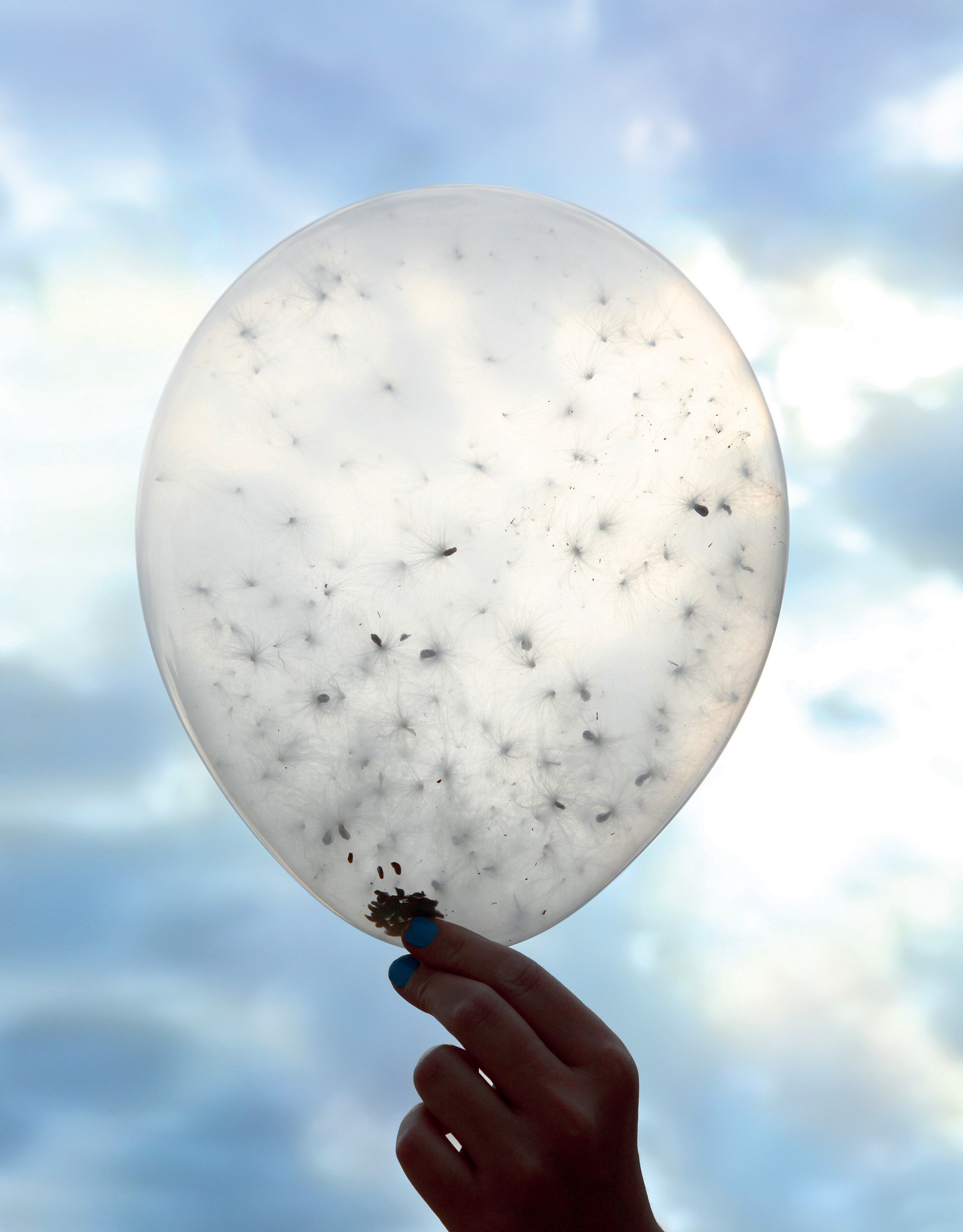 môi trường dự án Milkweed Dispersal Balloons