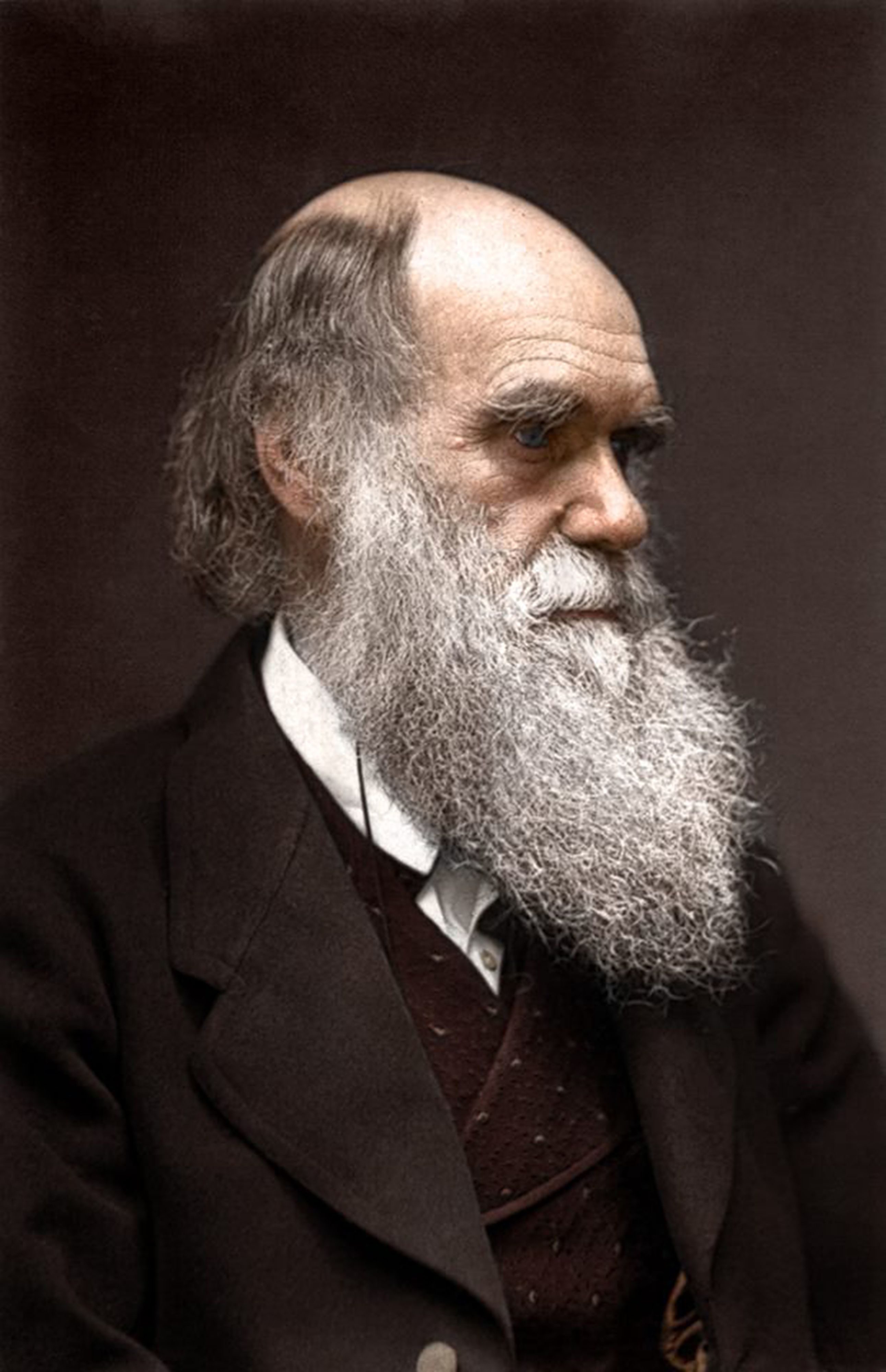 nhà sinh học Ϲharles Robert Darwin
