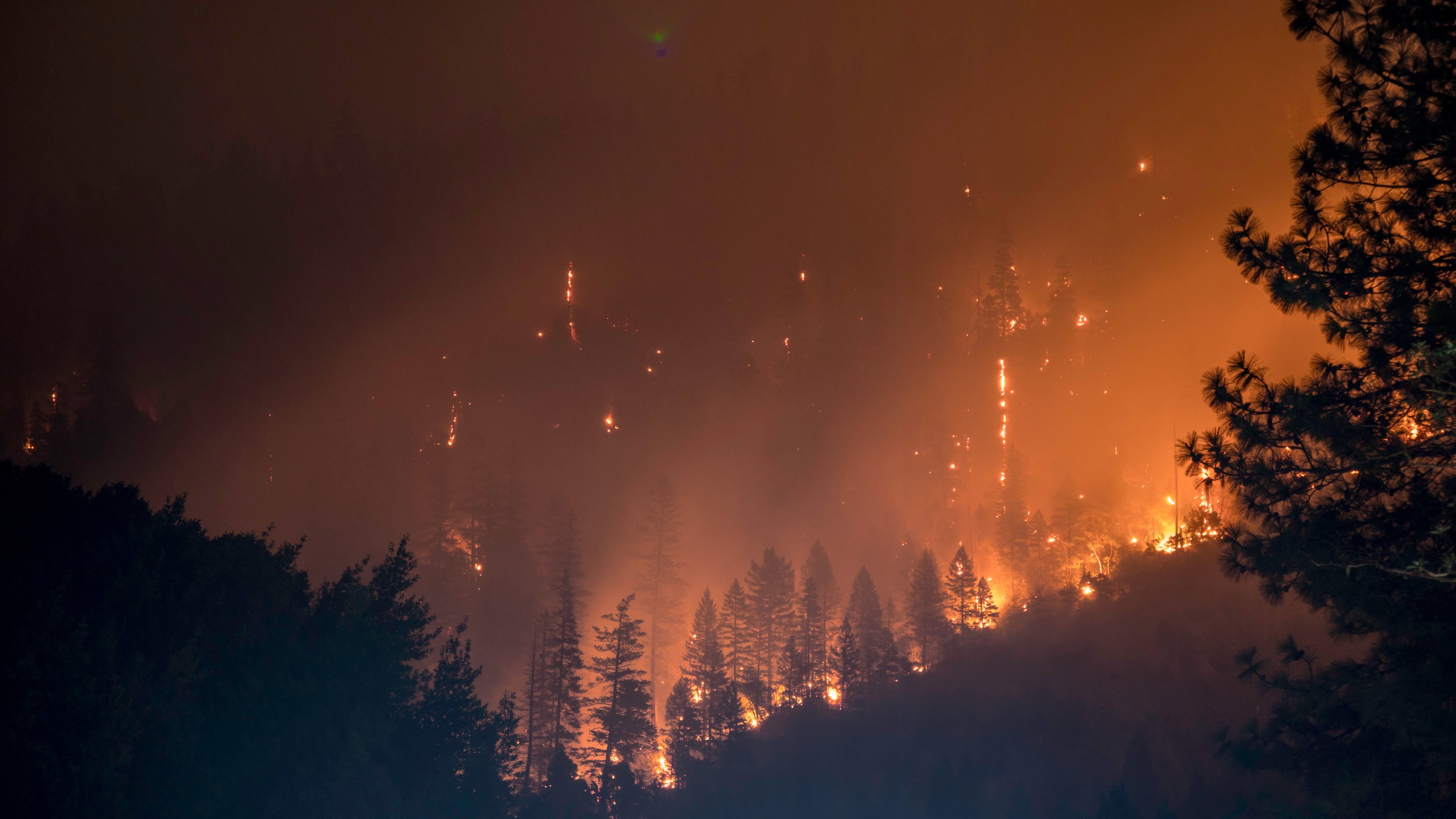 biến đổi khí hậu cháy rừng