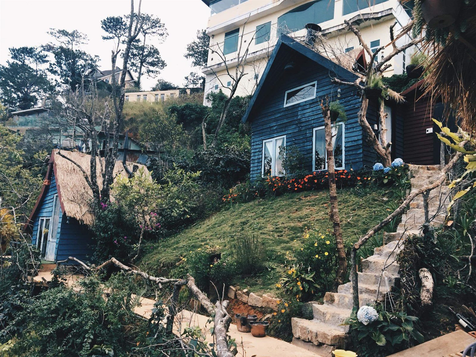 Cú Trên Cây Homestay (Đà Lạt)