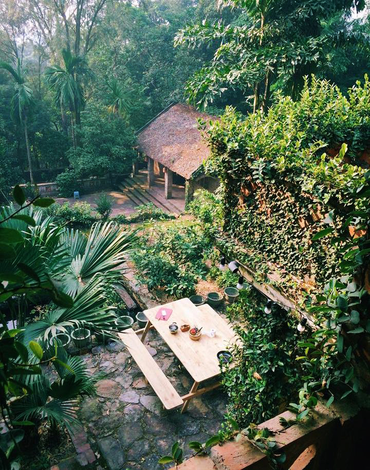 Jungle House (Bắc Ninh) homestay