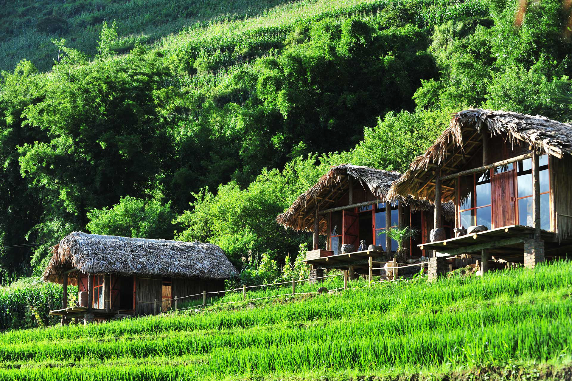 Phơri’s House (Sapa) homestay