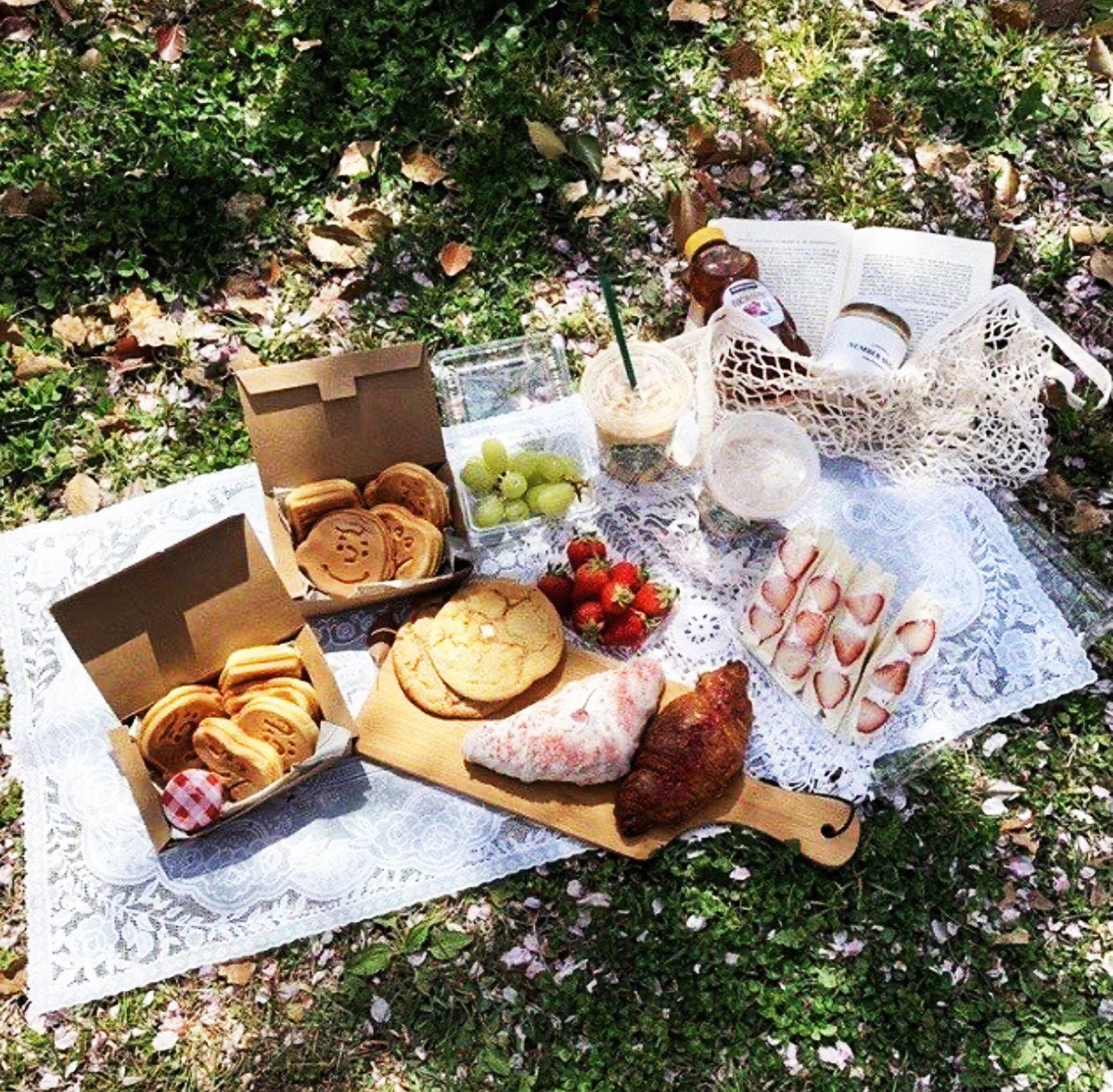 picnic