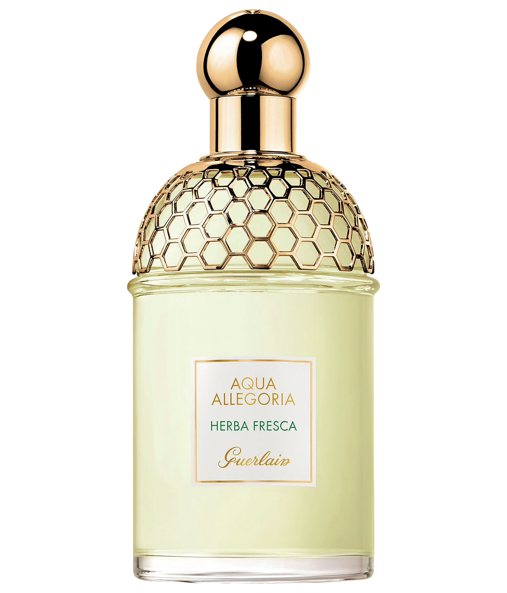 bạc hà nước hoa Herba Fresca Guerlain