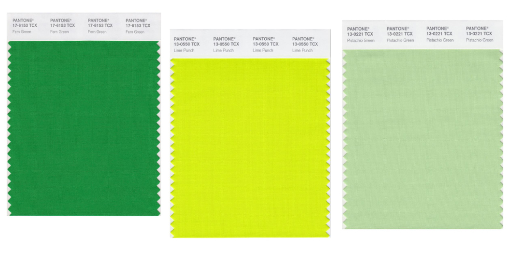 cách phân biệt màu pantone nhóm màu xanh lá