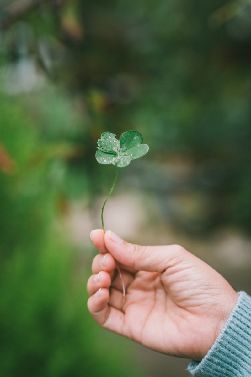 nhàm chán tay cầm cỏ bốn lá