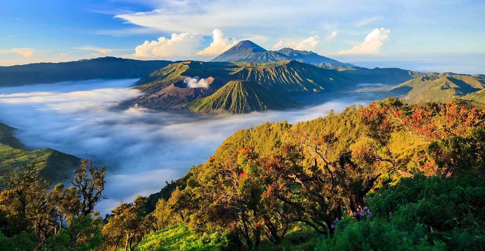 châu Á Java Indonesia