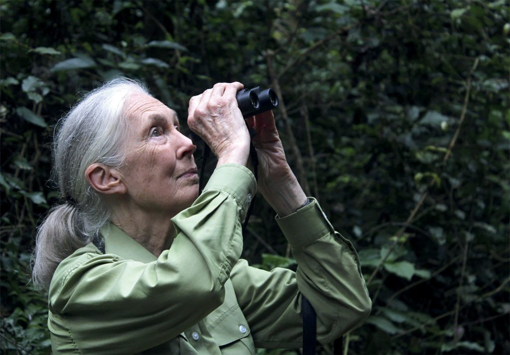 Jane Goodall bảo vệ môi trường