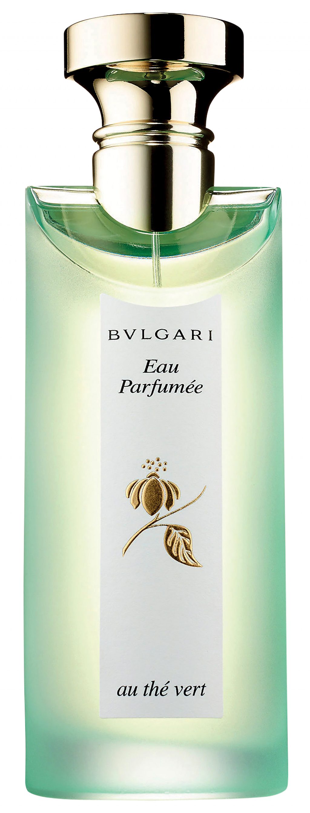 nước hoa cơ bản Bvlgari