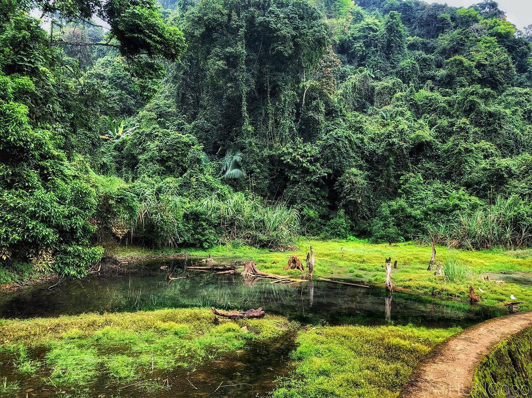 trekking rừng quốc gia cúc phương