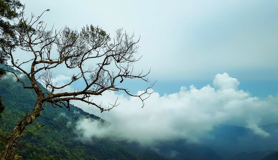 trekking Tam Đảo