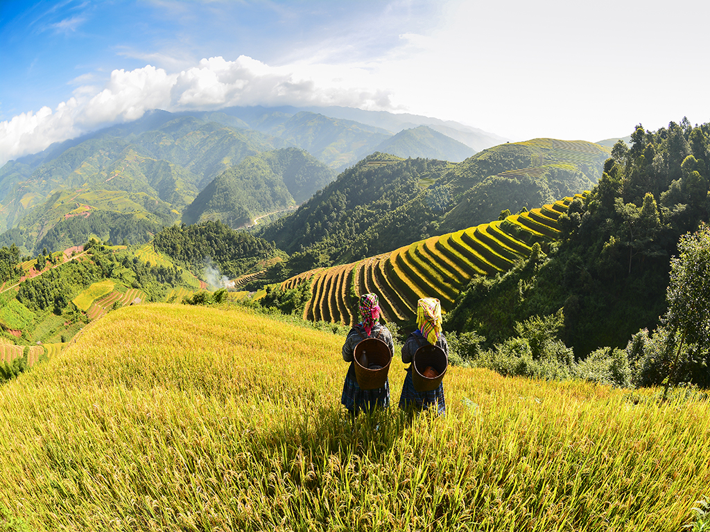 du lịch ruộng bậc thang sapa