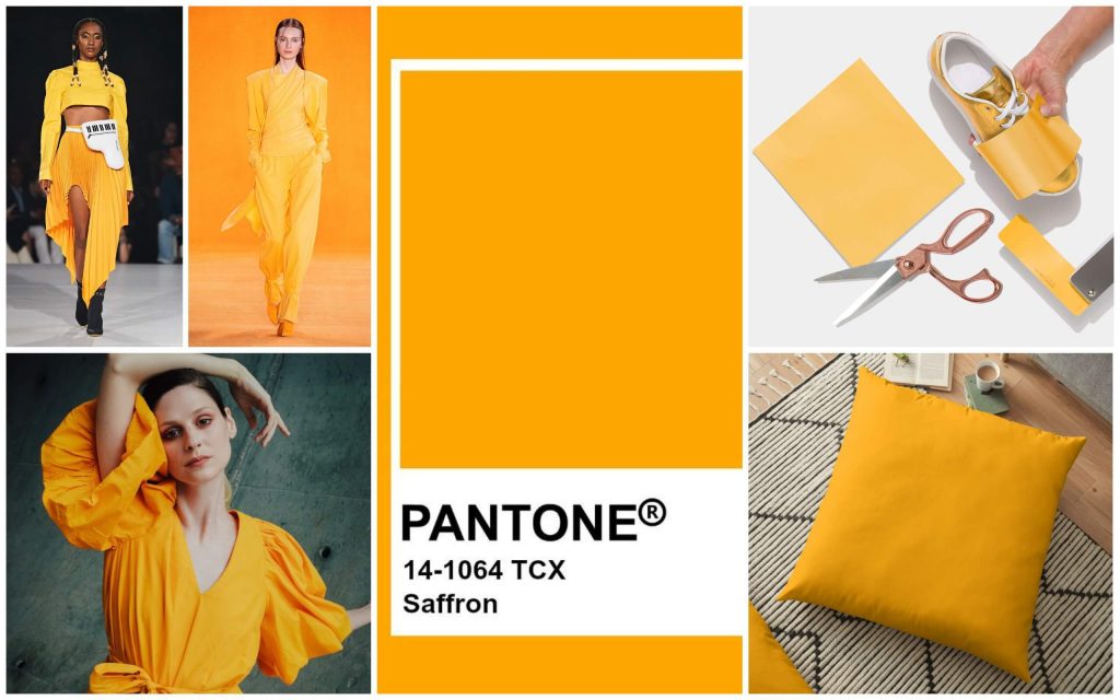 màu vàng mù tạt Pantone